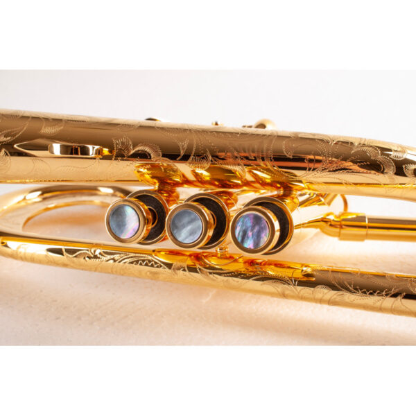 Adams F Custom Christian Scott Goldbrass Gp Flugelhorn Vogt